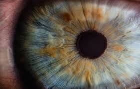 o-que-significa-dp-na-receita-de-oculos